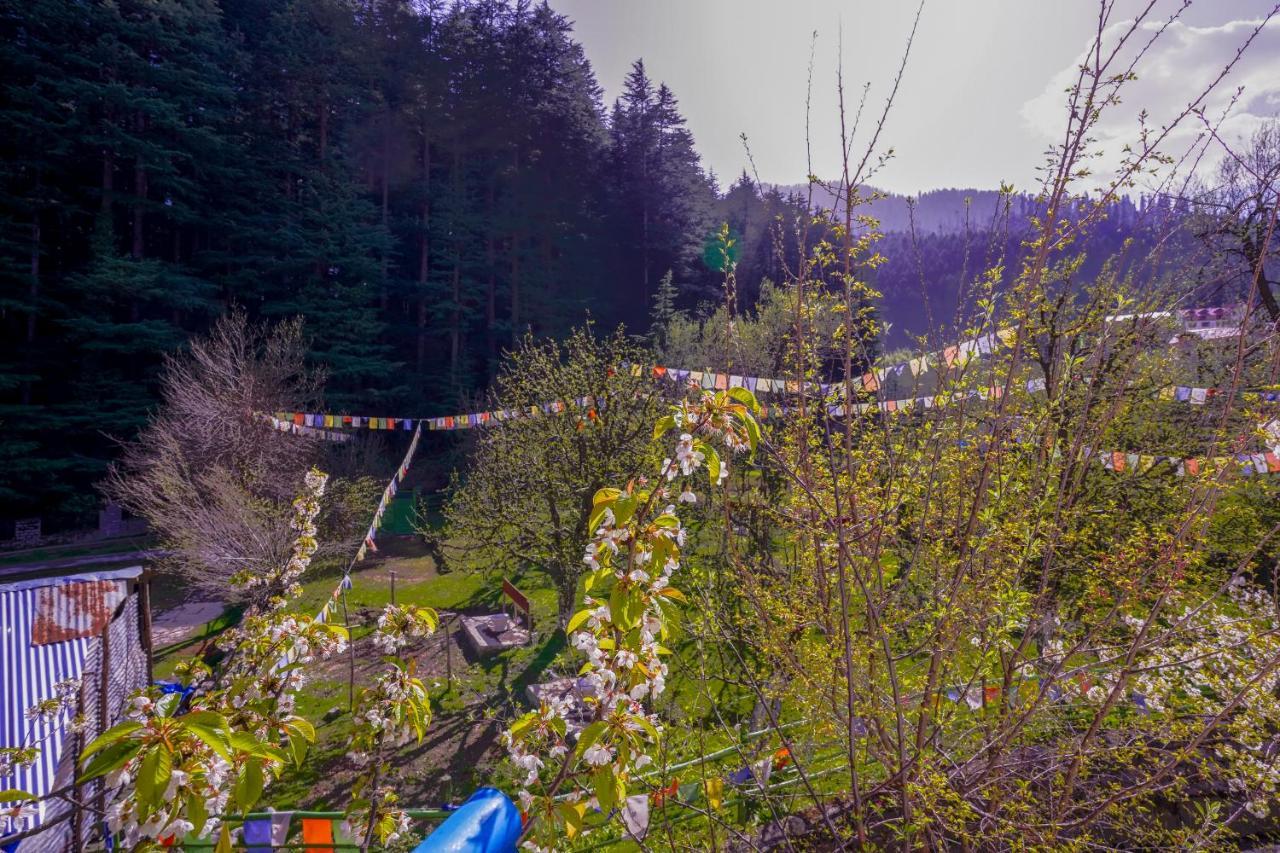 Rama'S Green Forest Manāli Eksteriør billede
